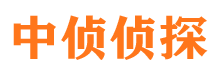 昭阳市调查公司